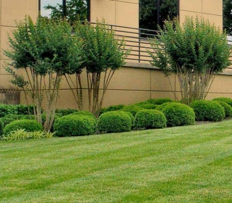Usizo Commercial Landscape Maintenance Usizo Commercial Landscape Maintenance