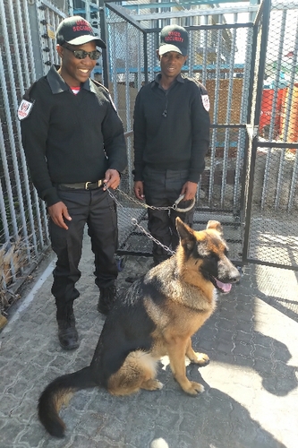 Usizo - Security Officer Services Usizo - Security Officer Services